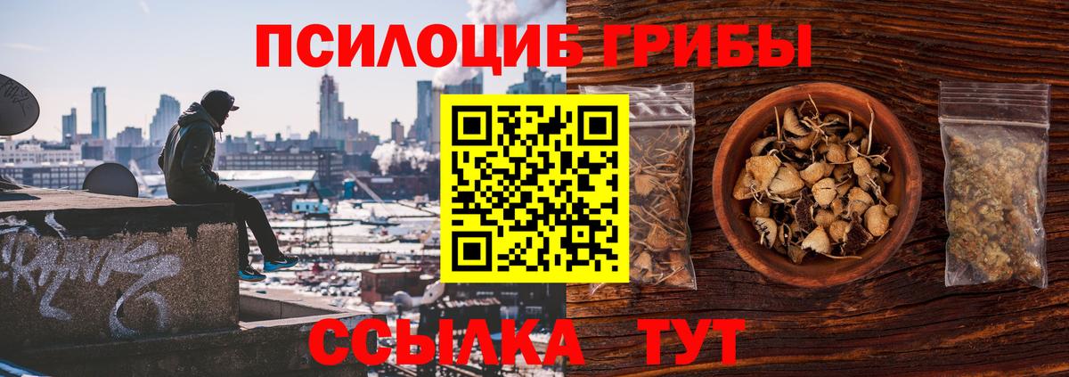 Псилоцибиновые грибы мухоморы  Галлюциногенные грибы GOLDEN TEACHER  Протвино  Вход с VPN 