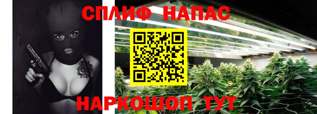 Конопля ГИДРОПОН  Марихуана Amnesia  Бошки марихуана Amnesia  Протвино  Бошки марихуана сатива  Вход с VPN 